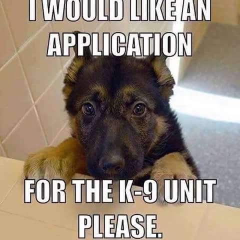 k9-puppy