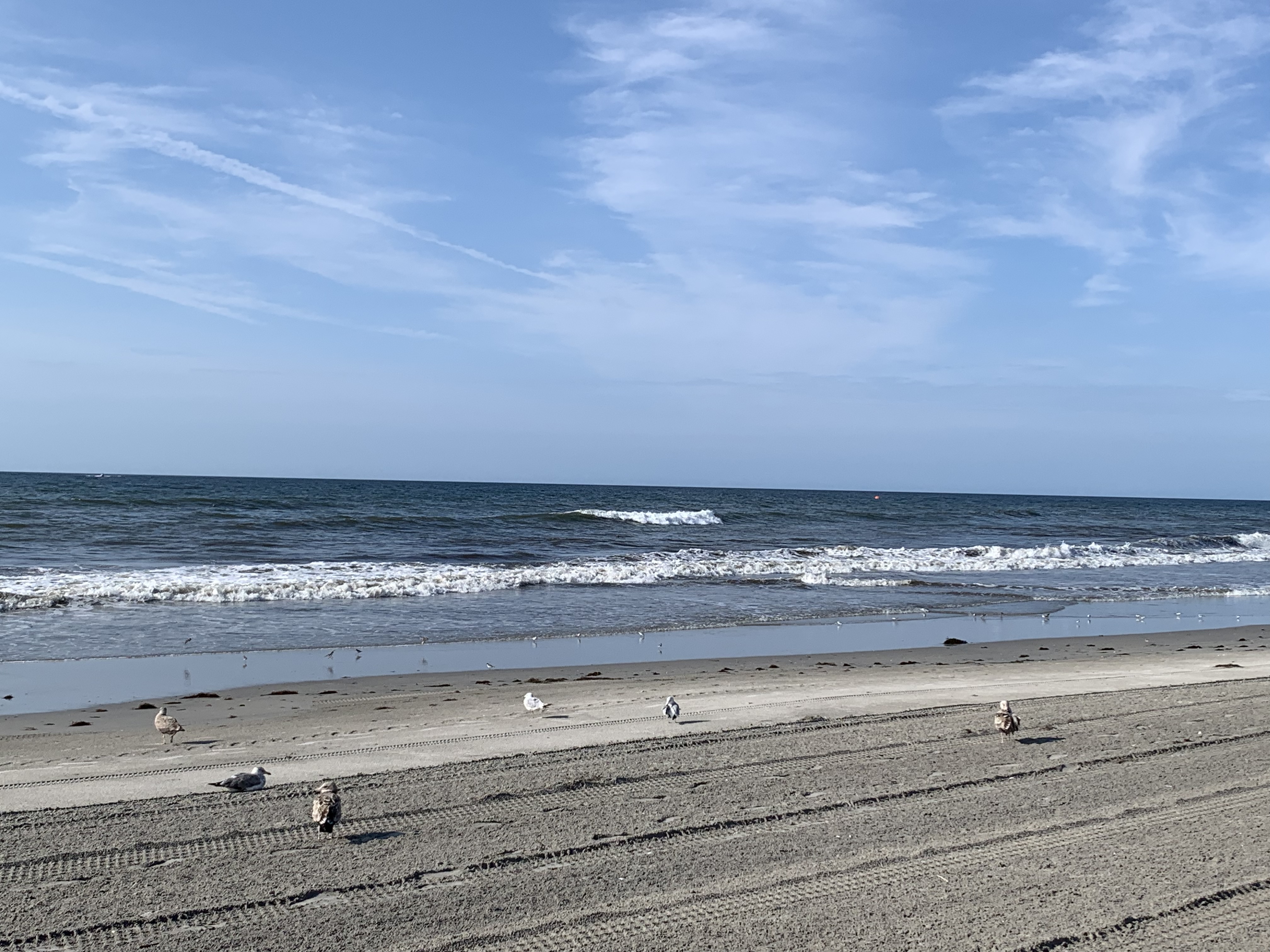 15D5EEFA-B302-4607-A860-87BE2468772E