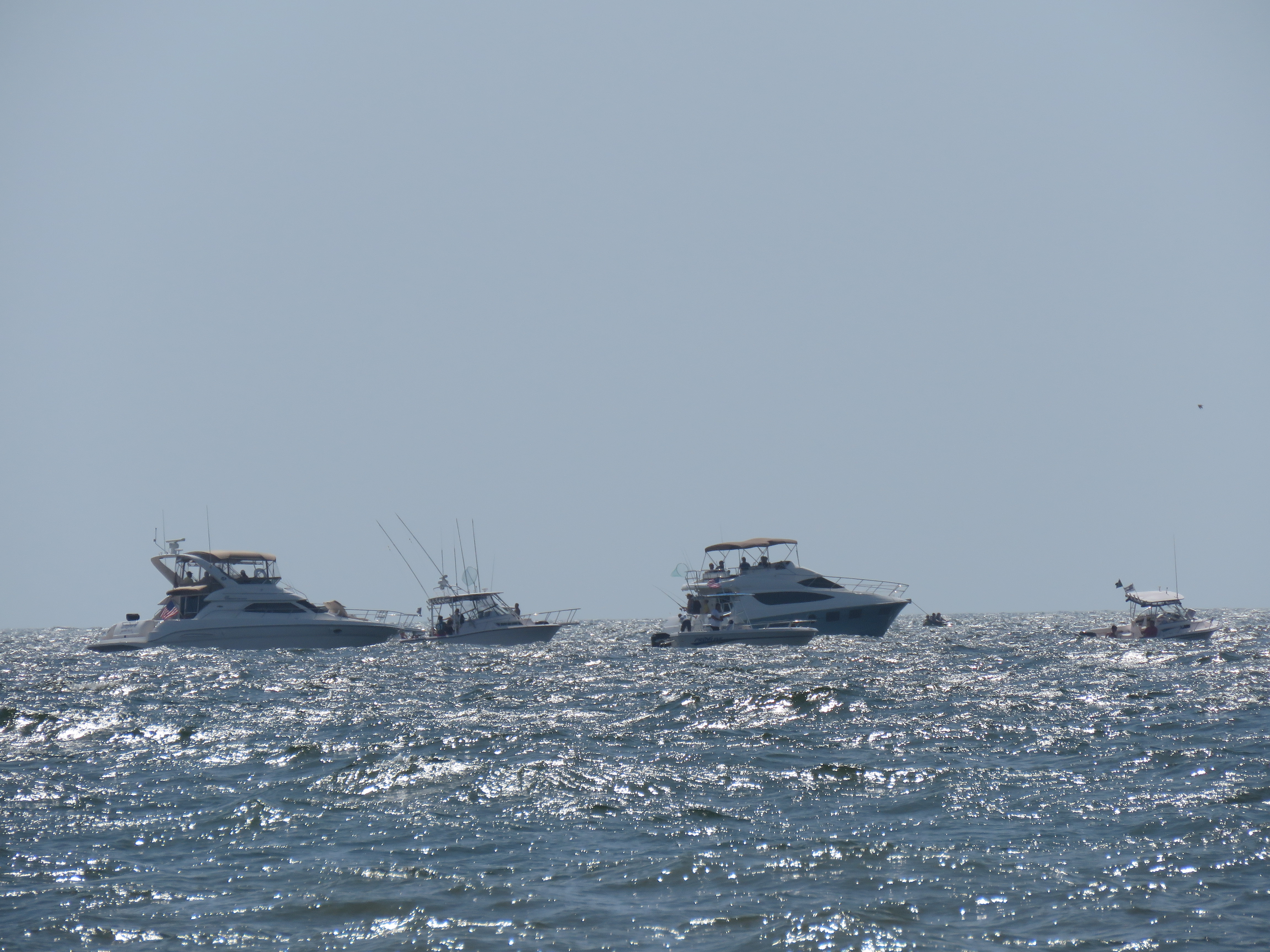 8F5261CE-304D-4000-BC2C-791EE314EE25