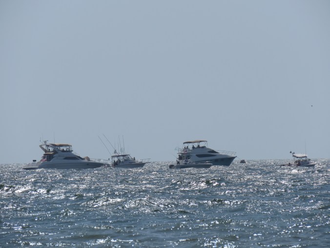 8F5261CE-304D-4000-BC2C-791EE314EE25